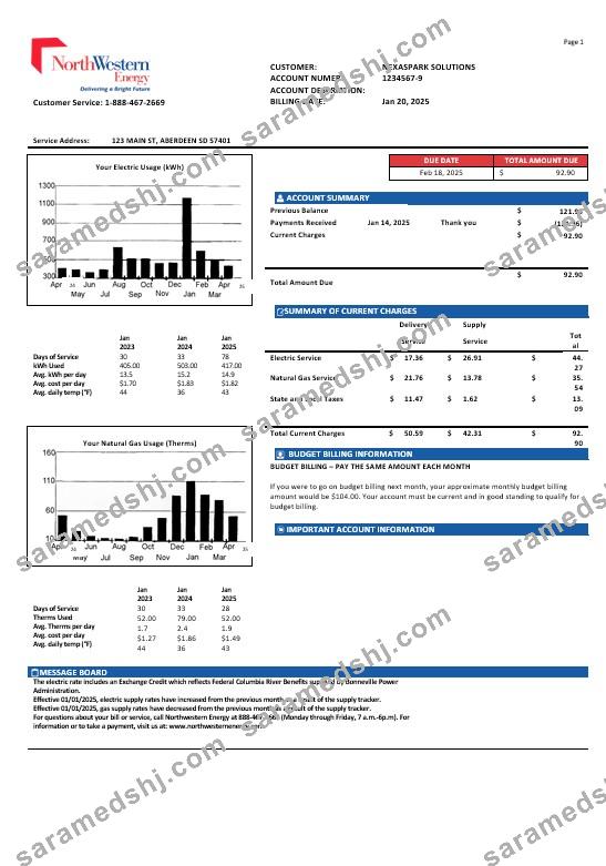 USA NorthWestern Energy business utility bill template in Word and PDF formats, version 1